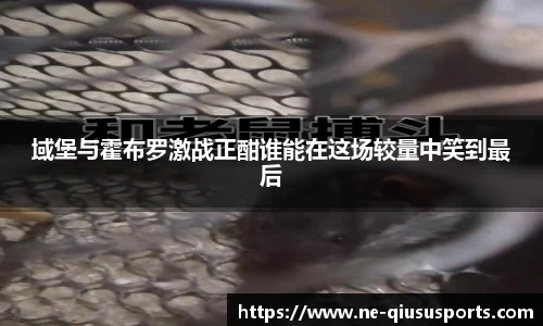 球速体育官方